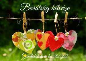 Read more about the article Mély gondolatok a barátságról III.