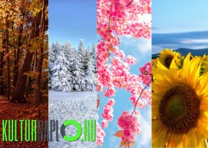 Read more about the article 4 évszak . . .