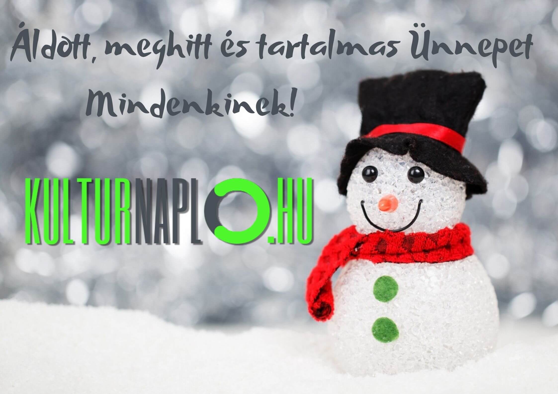 Read more about the article Újra aktív lesz a kulturnaplo.hu